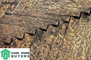 how to spot water damage in a house