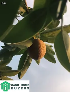 downsizing house with kids