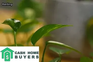 should i sell my house first or buy first