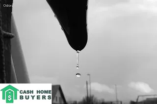 this house is haunted