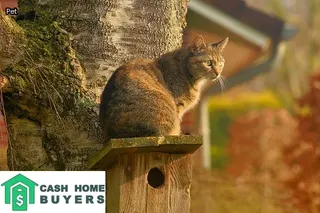 can a house be haunted