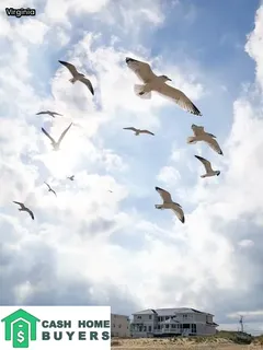 what is a squatter tenant