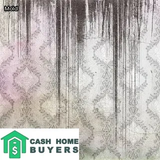 house fire restoration